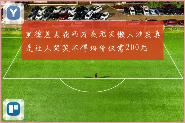 里德差点花两万美元买懒人沙发真是让人哭笑不得均价仅需200元