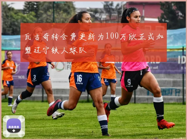 瓦吉奇转会费更新为100万欧正式加盟辽宁铁人球队
